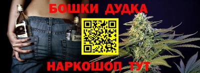 молекула духа Донецк