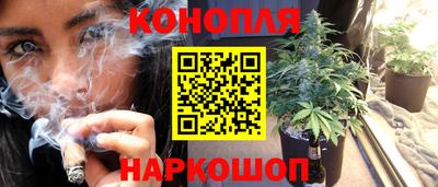 ешки Дубна
